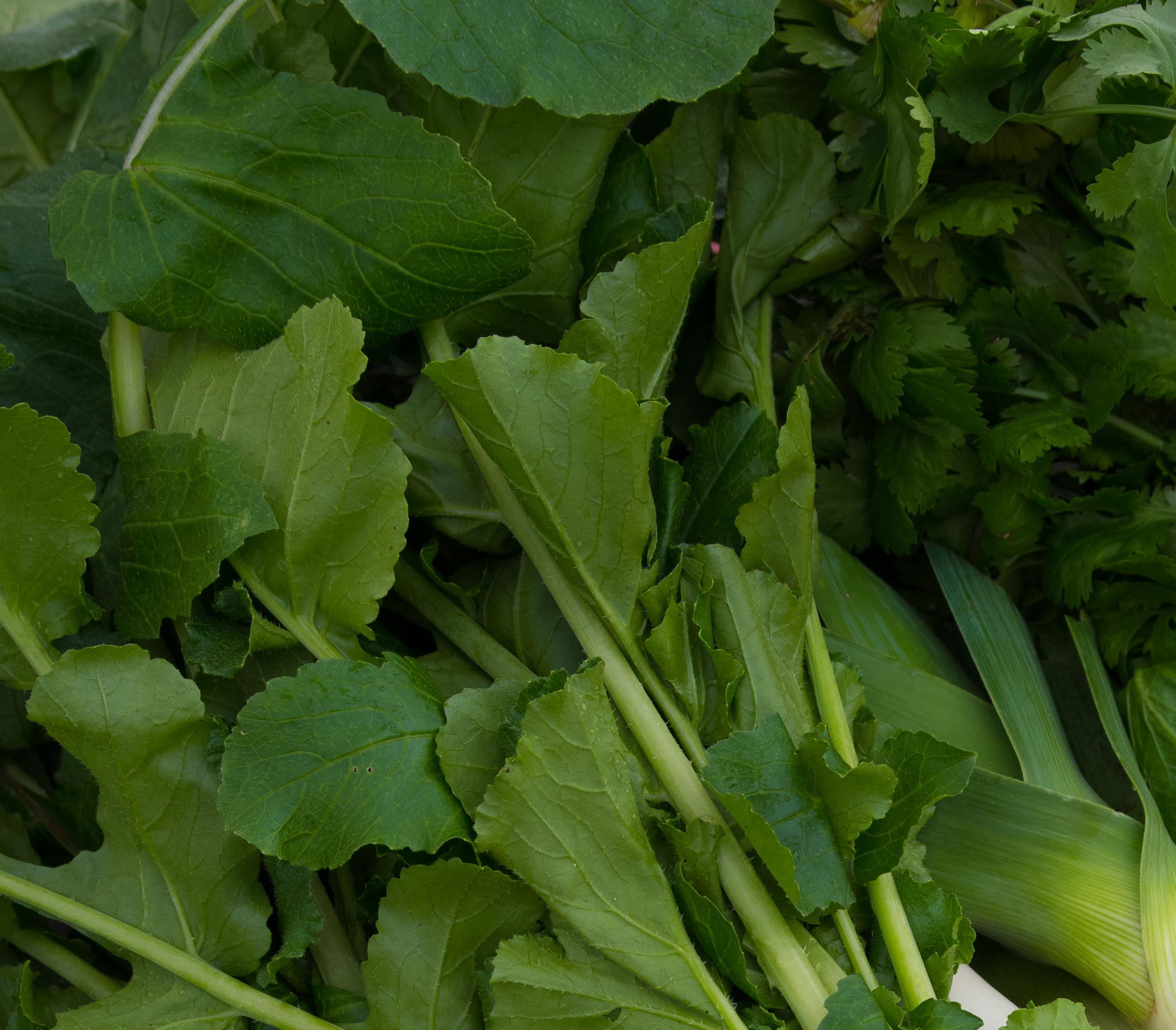 McAllen Farmers Market